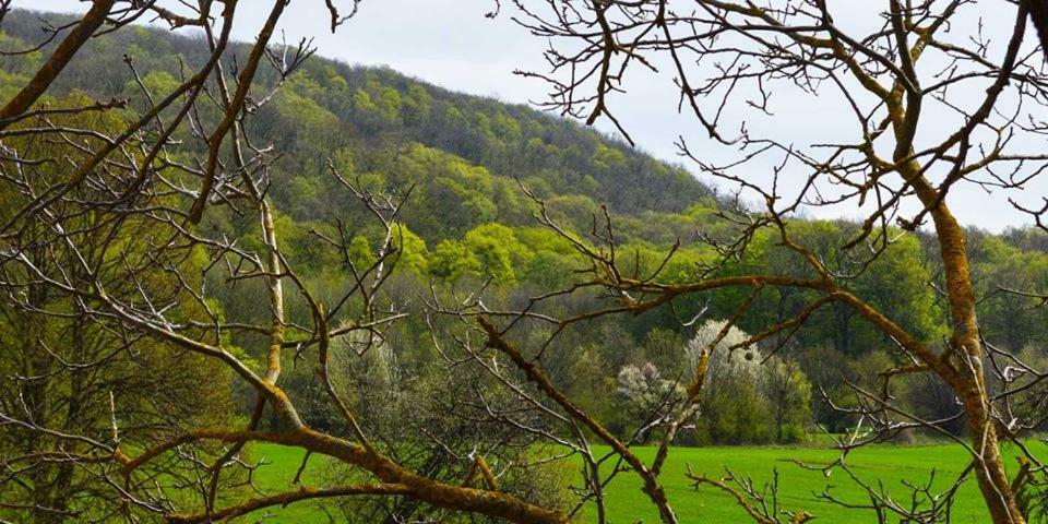 Somhegyi Oereg Harsfak Major Vendeghaz Bed & Breakfast Bakonybel Exterior photo